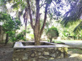 villa-savendro-in-hikkaduwa-small-0