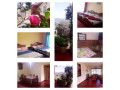 camellia-inn-in-nuwara-eliya-small-0