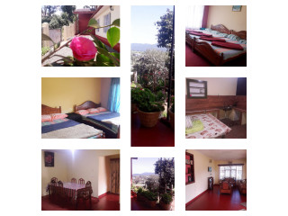 Camellia Inn in Nuwara Eliya