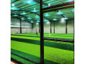 caligo-futsa-premier-futsal-facility-in-colombo-small-1