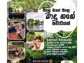 buddhi-boat-safari-in-matara-small-0