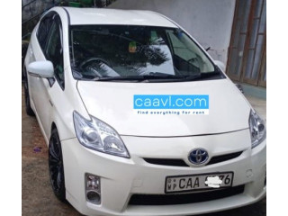 Toyota Prius Car for Rent