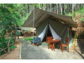 ella-glamping-in-ella-small-0