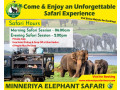 minneriya-luxury-jeep-safari-in-minneriya-small-0