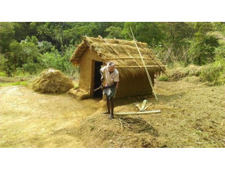 Camping in a Paddyfield and Marshy wilderness in Bandaragama