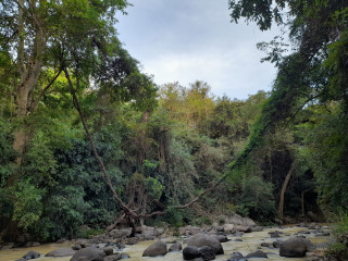 Camping and Hiking Spring Wood Akiriya in Badulla