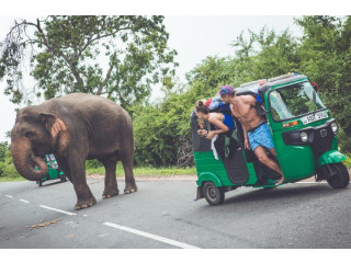 Tuk Tuk, Scooter for Rent in Negombo