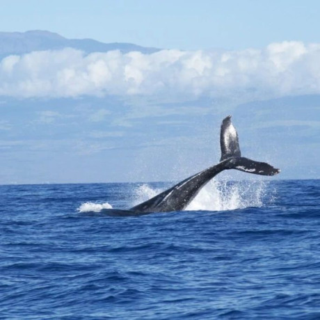 boat-tour-in-trincomalee-big-0