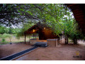 camping-within-the-yala-national-park-small-1