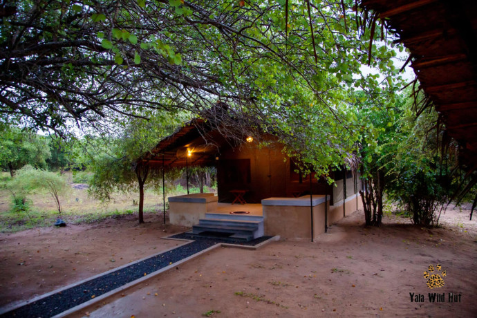 camping-within-the-yala-national-park-big-1