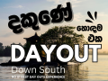 madu-river-boat-safari-in-madu-river-in-galle-small-0