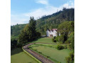 the-bellwood-manor-in-nuwara-eliya-small-3