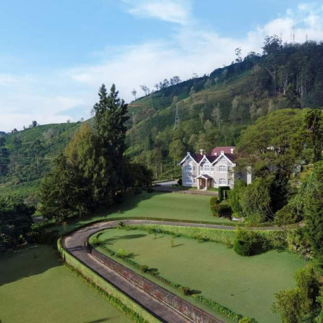 the-bellwood-manor-in-nuwara-eliya-big-3