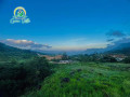 morning-sight-green-villa-small-0