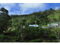 summer-glow-guest-in-nuwaraeliya-small-1