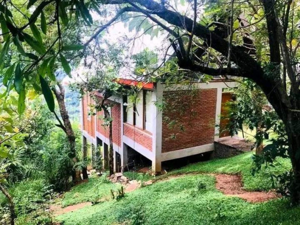 tree-house-chalets-in-belihuloya-big-1