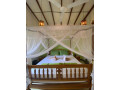 sun-green-villa-in-unawatuna-small-2