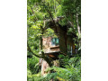 rangala-tree-house-in-kandy-small-0