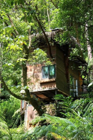 rangala-tree-house-in-kandy-big-0