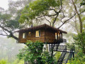 tree-nature-resort-in-badulla-small-4