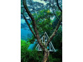 tree-nature-resort-in-badulla-small-3