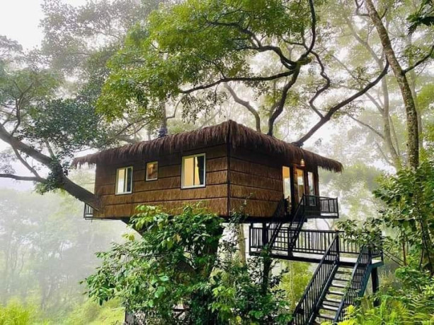 tree-nature-resort-in-badulla-big-4