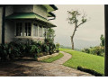 hatale-tea-estate-bungalow-in-wattegama-small-3