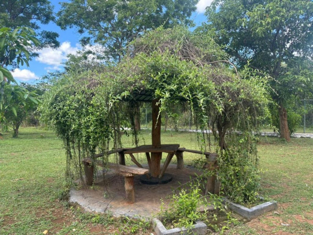 lakhala-nature-resort-in-udawalawe-big-1