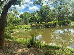 lakhala-nature-resort-in-udawalawe-big-2