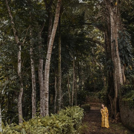 tree-of-life-nature-resort-in-kandy-big-1