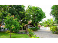 flamingo-villa-in-jaffna-small-2