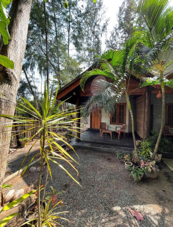 new-roy-guest-house-in-kalkudah-big-2