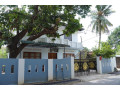 nilos-guest-house-in-batticaloa-small-3