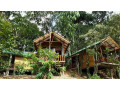 saffron-eco-cottage-in-ella-small-0