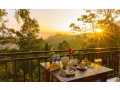 shining-green-view-in-ella-small-3