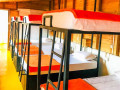 ella-city-reach-hostel-in-ella-small-1