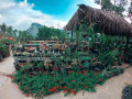 ella-flower-garden-resort-in-ella-small-1