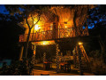 the-winsome-tree-house-in-ella-small-0