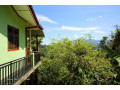 serene-homestay-in-ella-small-0