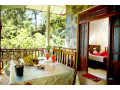 serene-homestay-in-ella-small-1