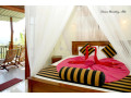 serene-homestay-in-ella-small-2