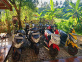 chamara-bike-rental-scooter-and-bike-rental-in-galle-small-0