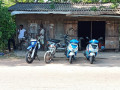 jana-bike-rental-bike-and-scooter-rental-in-matara-small-1