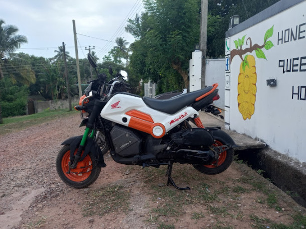 honey-queen-bike-rent-bike-and-scooter-rental-in-mirissa-big-0