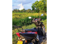 bike-land-tours-sri-lanka-scooter-and-bike-rental-in-colombo-small-0