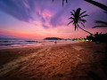 discover-tropical-bliss-at-mirissa-beach-sandy-shores-serene-waters-and-surfing-spots-small-0