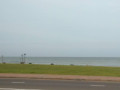 galle-face-green-colombos-iconic-seaside-gathering-spot-small-0