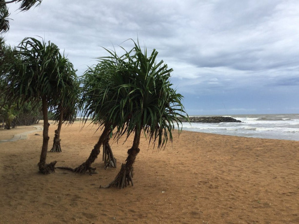 local-tourist-favourite-negombo-beach-in-sri-lanka-big-2