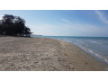 casuarina-beach-a-serene-coastal-gem-on-sri-lankas-northern-shores-in-jaffna-small-1