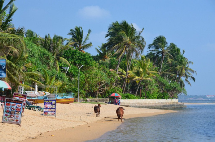 beruwala-beach-a-coastal-haven-with-charm-and-tranquility-on-sri-lankas-western-shore-in-beruwala-big-2